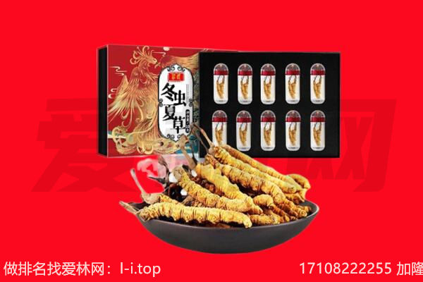 蚌埠市禹会回收虫草.jpg